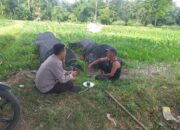 Sinergi Polri-Petani, Lembar Lombok Barat Fokuskan Ketahanan Pangan