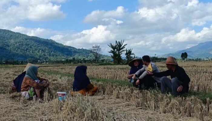 Bhabinkamtibmas Babussalam Gencarkan Program Pangan Nasional di Tingkat Desa