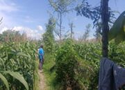 Polri dan Petani Bersinergi Jaga Produksi Pertanian di Kecamatan Gerung