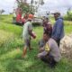 Sinergi Petani dan Polisi di Kediri Lombok Barat, Wujudkan Swasembada Jagung