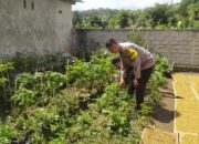Bhabinkamtibmas Edukasi Warga Sekotong Tengah: Dari Keamanan ke Pangan Berkelanjutan