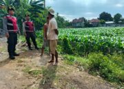 Polres Lobar Kawal Petani Wujudkan Ketahanan Pangan Nasional