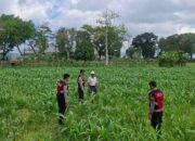 Polres Lombok Barat Dampingi Petani Gerung Utara, Dukung Swasembada Pangan