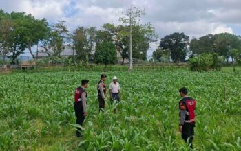 Polres Lombok Barat Dampingi Petani Gerung Utara, Dukung Swasembada Pangan