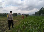Polsek Kediri Bersama Bhabinkamtibmas dan PPL Pertanian Tingkatkan Ketahanan Pang