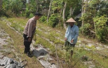 Polsek Labuapi Ajak Warga Desa Kuranji Wujudkan Kemandirian Pangan Lewat Pertanian Pekarangan
