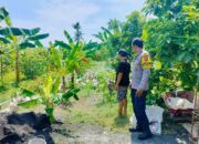 Polsek Lembar Dukung Ketahanan Pangan, Bhabinkamtibmas Beri Semangat Petani Jagung di Eyat Mayang