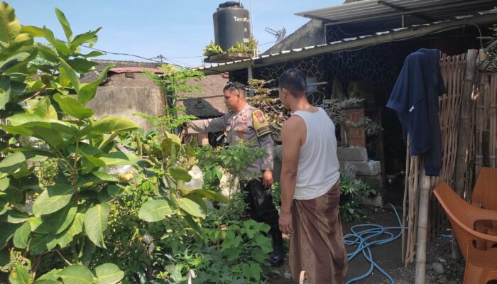 Inovasi Ketahanan Pangan di Desa Kuranji, Lombok Barat