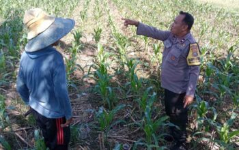 Sinergi Polri dan Petani, Optimalisasi Lahan Kosong di Dusun Jogot untuk Ketahanan Pangan