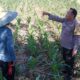 Sinergi Polri dan Petani: Optimalisasi Lahan Kosong di Dusun Jogot, Labuapi