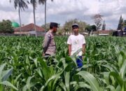 Bhabinkamtibmas Kuripan Ajak Warga Dusun Due Pelet Wujudkan Ketahanan Pangan