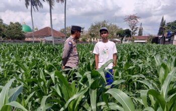 Bhabinkamtibmas Kuripan Ajak Warga Dusun Due Pelet Wujudkan Ketahanan Pangan