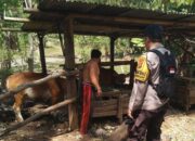 Ketahanan Pangan Mandiri, Warga Batulayar Barat Diajak Tanam Sayuran di Pekarangan