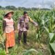 Polsek Labuapi Bangun Kesadaran Pangan Mandiri di Karang Kebon