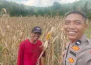 Polres Lombok Barat Aktif Dampingi Petani Tingkatkan Ketahanan Pangan
