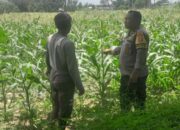 Polisi di Lombok Barat Motivasi Petani Optimalkan Lahan